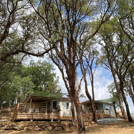 Les Chalets Des Iles Borgo  Luaran gambar
