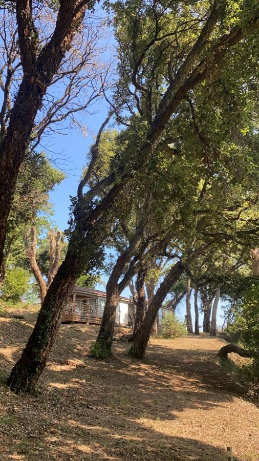Les Chalets Des Iles Borgo  Luaran gambar
